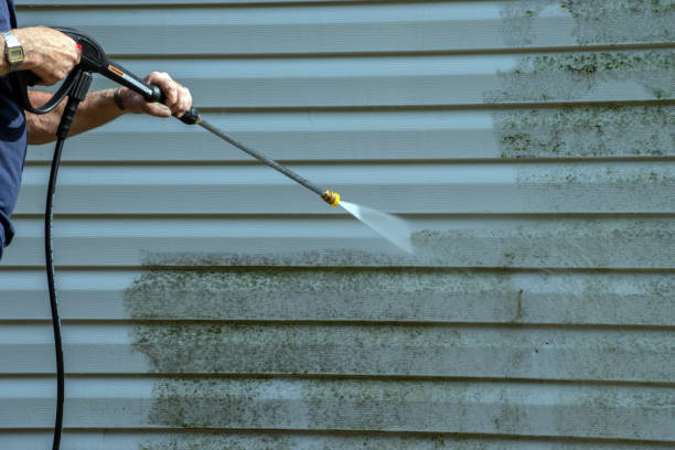 Best Exterior Home Cleaning  in Hillsville, VA