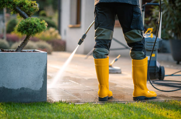 Best Roof Pressure Washing  in Hillsville, VA